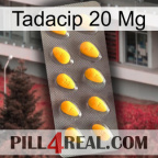Tadacip 20Mg cialis1